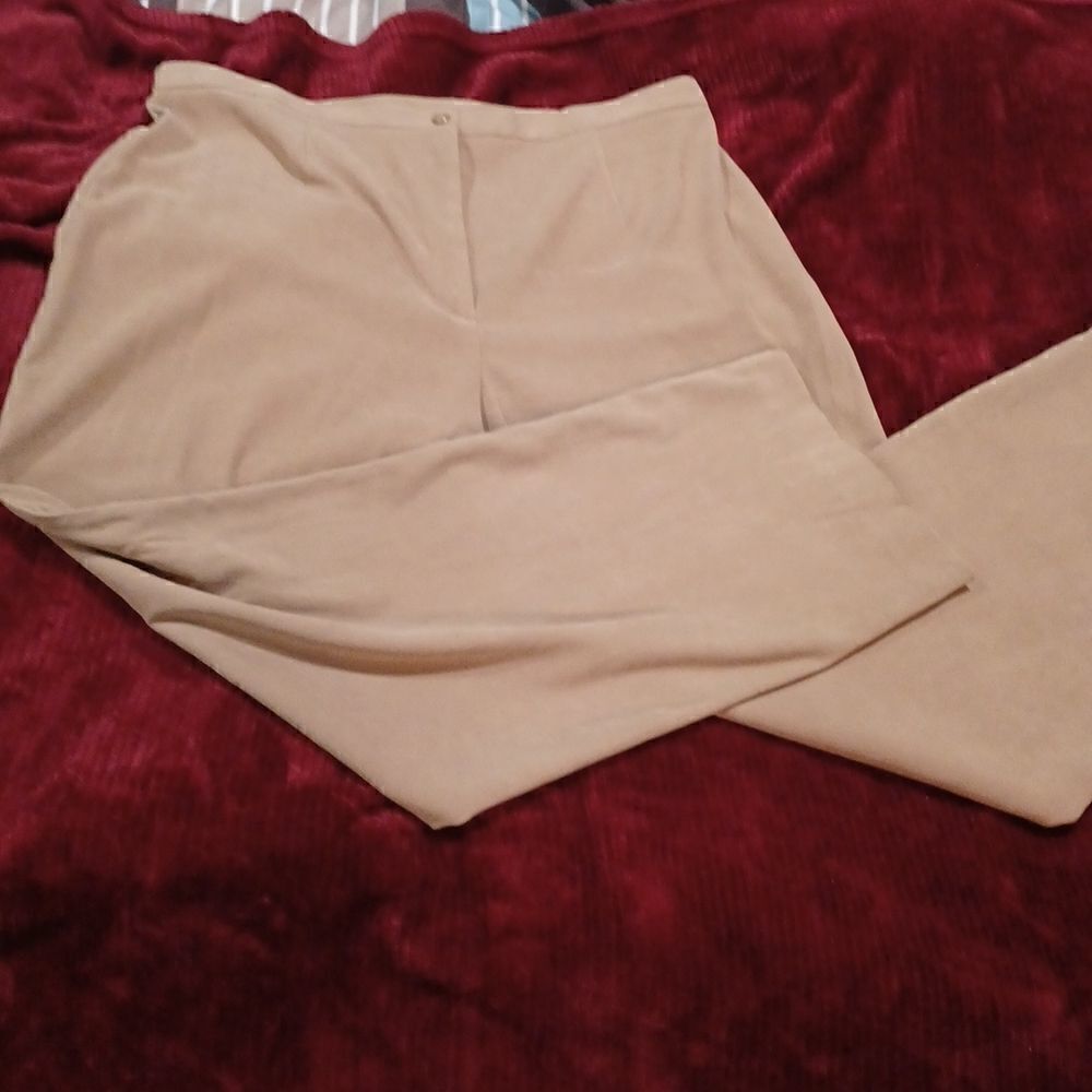 JM Collection Tan Slacks - Picture 5 of 6